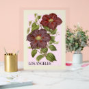 Recherche de fleurs fraîches posters Toute personne