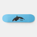 Recherche de tueur skateboards Baleine