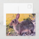 Recherche de salutations de pâques cartes postales Lapin lapin lapin