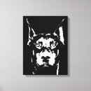 Recherche de blanc dobermann Chien