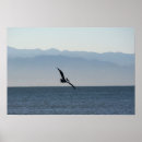 Recherche de puerto vallarta posters Baie de banderas