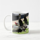 Recherche de poules tasses Mother