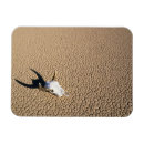 Recherche de native magnets Nature