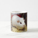 Zoek naar cavia mokken Varken
