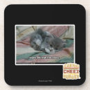 Zoek naar gewichten onderzetters Ik kan cheezburger hebben