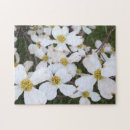 Recherche de chien blanc puzzles Amusant