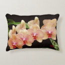 Recherche de orchidée coussins Belle