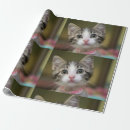 Zoek naar kitten cadeaupapier Tabby