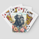 Recherche de cannes jeux de cartes Rétro