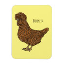 Recherche de poulets magnets Bantam