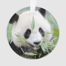 Zoek naar kawaii kerstdecoratie Dier