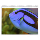 Recherche de clown calendriers Poissons