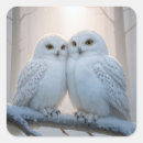 Recherche de hibou blanc autocollants Oiseaux