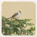 Recherche de moineau dessous de verres Oiseau