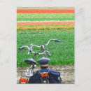 Recherche de la bicyclette cartes postales Fleurs