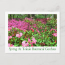 Recherche de rhododendron cartes postales Photographie