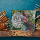 Zoek naar boom fotoplaat Natuur