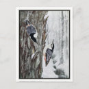 Recherche de faune américaine cartes postales Botanique