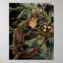 Zoek naar marten posters Natuur