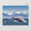 Recherche de baie glacier alaska cartes postales Paysage