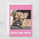 Recherche de bouledogue invitations Chiens