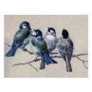 Recherche de oiseaux bleus art Antique
