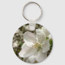 Recherche de arbre fleurissant accessoires Printemps