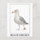 Recherche de humour poulet cartes postales Oiseau
