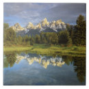 Recherche de teton grand carreaux Bleu
