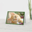 Recherche de minou rose vœux cartes Mignon