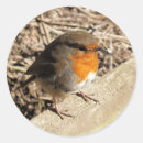 Recherche de cambriolage autocollants Robin