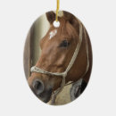 Recherche de cheval arabe ornements Équestre
