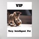 Recherche de chat mignon posters Peinture murale