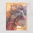 Recherche de troupeau de cheval cartes postales Ferme