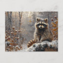 Recherche de raccoon cartes postales Dessin
