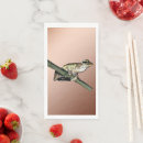 Recherche de crapaud serviettes Amphibien