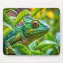 Recherche de lézard tapis souris Caméléon