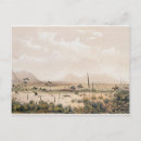 Recherche de kangourous cartes postales Australien