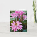 Recherche de st louis vœux cartes Fleurs