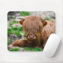 Recherche de cow tapis souris Animal