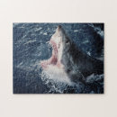 Recherche de boucher puzzles Animal