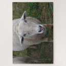 Recherche de mouton puzzles Animal