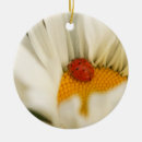 Zoek naar ladybug ornamenten Dieren