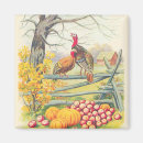 Recherche de dinde de thanksgiving magnets Ferme