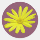 Recherche de marguerite jaune autocollants Marguerie