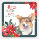 Recherche de corgi cardigan autocollants Dog