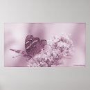 Recherche de buddleia posters Fleur