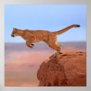 Recherche de image couleur posters Paysage