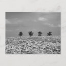 Recherche de quatre arbres cartes postales Campagne
