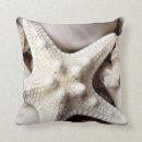 Recherche de mer coussins Arrière plan